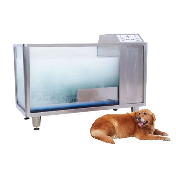 The Ultimate 2026 Guide to Pet Grooming Tubs: Market Trends & Buying Strategies